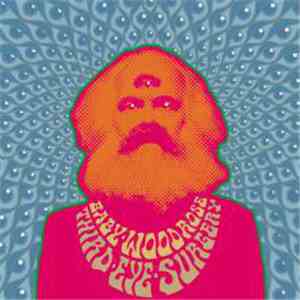 Baby Woodrose - Third Eye Surgery download mp3 flac