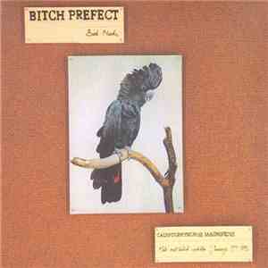 Bitch Prefect - Bird Nerds download mp3 flac