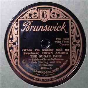 Bob Haring And His Orchestra - Down Among The Sugar Cane / Because I Know You're Mine download free