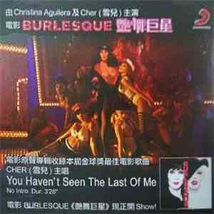 Cher - You Haven't Seen The Last Of Me download mp3 flac