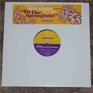 DJ Ebar presents New York Pillars - In The Springtime download free