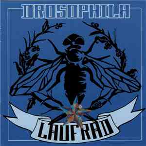 Drosophila - Laufrad download free