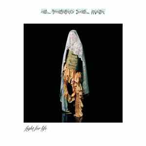 El Perro Del Mar - Fight For Life download free El Perro Del Mar - Fight For Life download mp3 flac