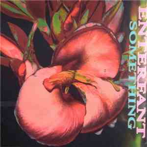 Enterfant - Something download free Enterfant - Something download mp3 flac