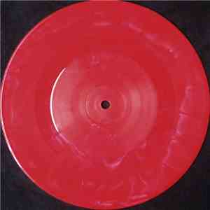 Flipper - Some Day / Distant Illusion download mp3 flac