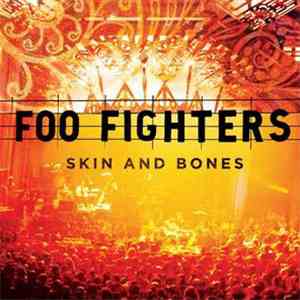 Foo Fighters - Skin And Bones download mp3 flac
