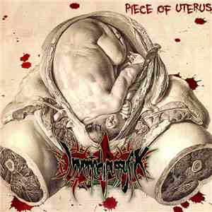 Inverted Pussyfix - Piece Of Uterus download free