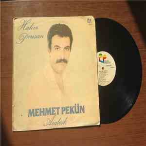 Mehmet Pekün - Halim perişan download free