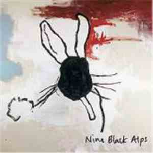 Nine Black Alps - Everything Is download mp3 flac