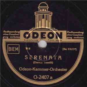 Odeon-Kammer-Orchester - Serenata / Ständchen download mp3 flac Odeon-Kammer-Orchester - Serenata / Ständchen download free
