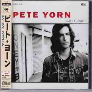 Pete Yorn - Day I Forgot download mp3 flac