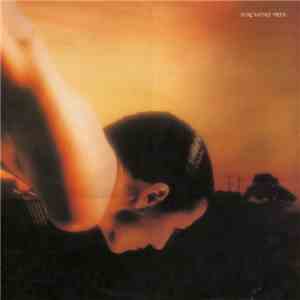 Porcupine Tree - On The Sunday Of Life... download mp3 flac