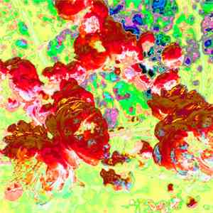 Razxca - Untibdfbtled download free