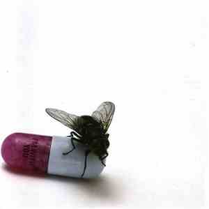 Red Hot Chili Peppers - I'm With You download free Red Hot Chili Peppers - I'm With You download mp3 flac