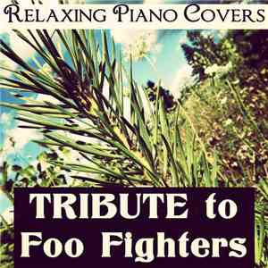 Relaxing Piano Covers - Tribute To Foo Fighters download mp3 flac Relaxing Piano Covers - Tribute To Foo Fighters download free
