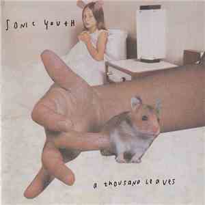 Sonic Youth - A Thousand Leaves download mp3 flac