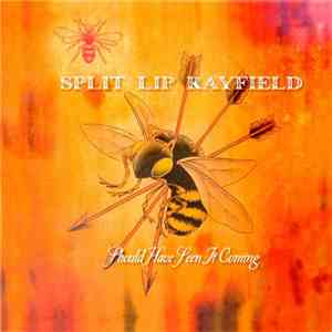 Split Lip Rayfield - Should Have Seen It Coming download mp3 flac
