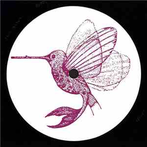 Steffi  - Waking States download free