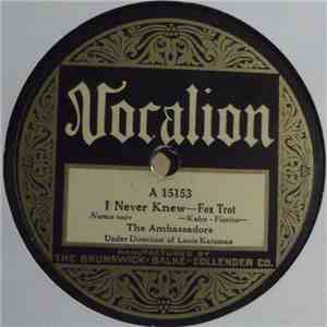 The Ambassadors  - I Never Knew / That Certain Party download mp3 flac