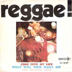 The Banana Boys - Reggae! - Come Into My Life download free