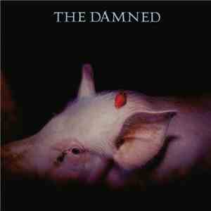 The Damned - Strawberries download mp3 flac