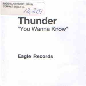 Thunder  - You Wanna Know download mp3 flac
