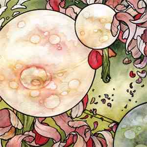 Torche - In Return download mp3 flac