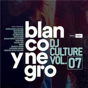 Various - Blanco Y Negro DJ Culture Vol.07 download mp3 flac