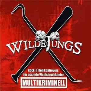 Wilde Jungs  - Multikriminell - Rock 'N' Roll Kontrovers Für Asoziale Wohlstandskinder download mp3 flac
